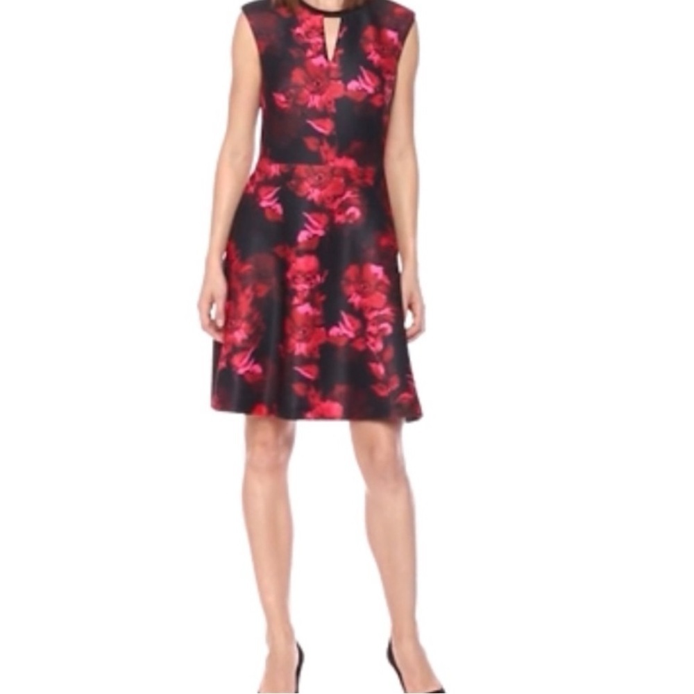 Tommy Hilfiger Romance Print Cap Sleeve V Neck Dress Size 4